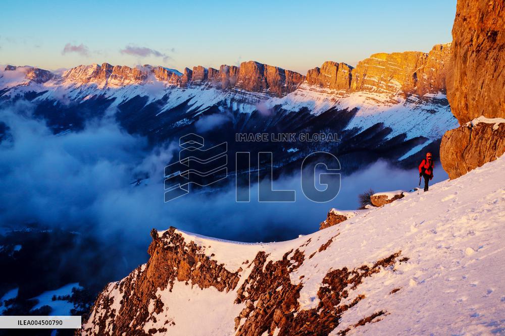 Illustration - Summer Activities