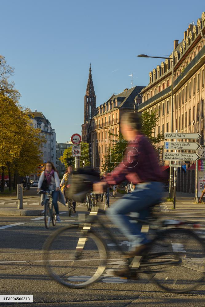 Illustration - Summer Activities