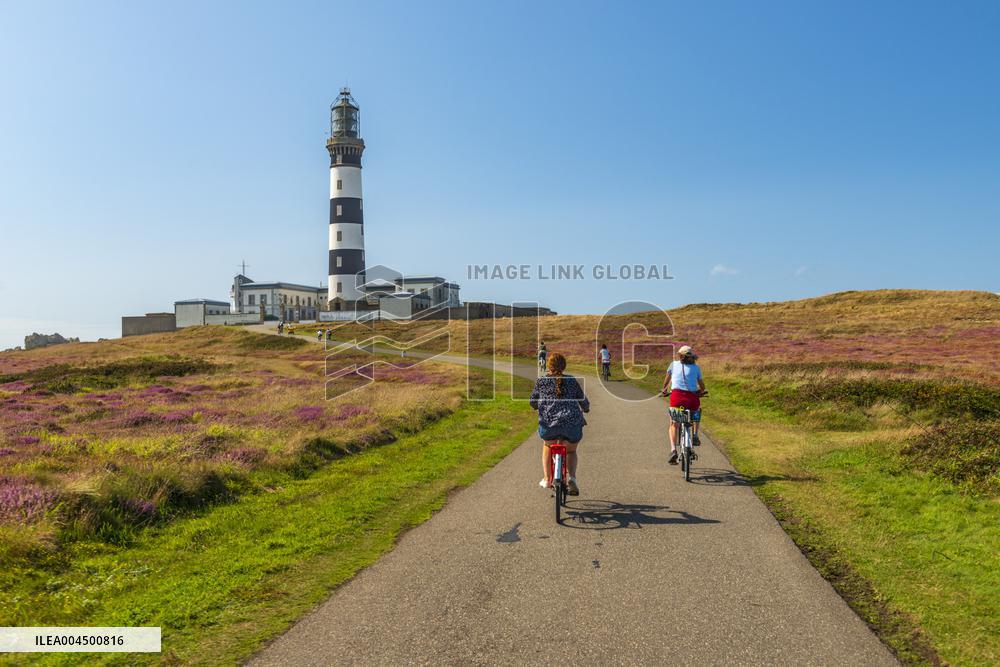 Illustration - Summer Activities