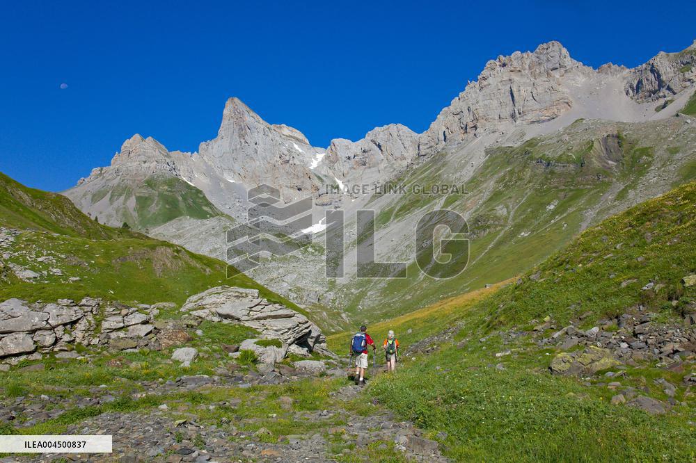 Illustration - Summer Activities