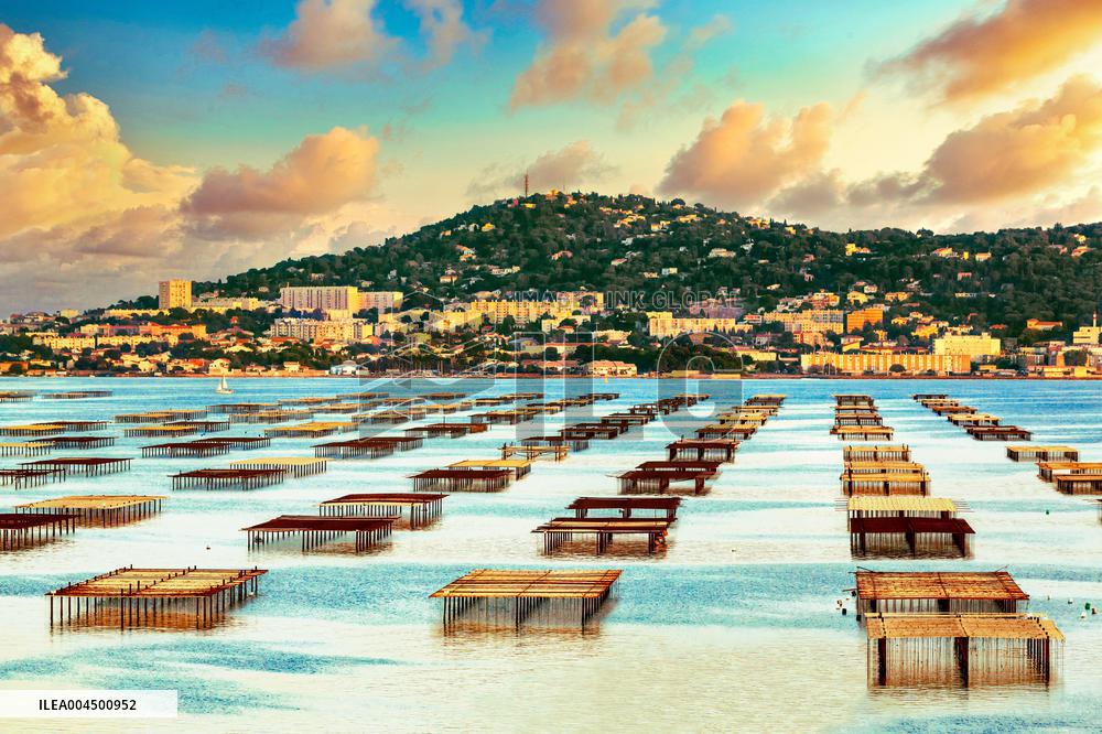 Illustration of the Town of Sete