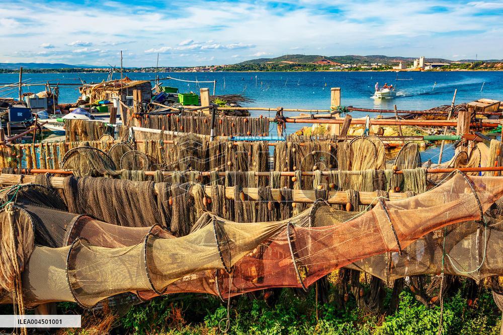 Illustration of the Town of Sete