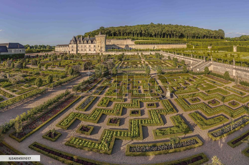 Illustration - Loire Valley