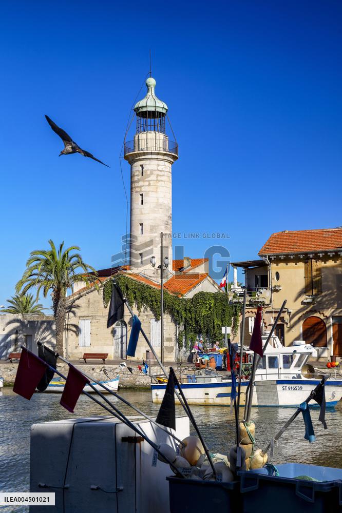 Illustration of the Town of Sete