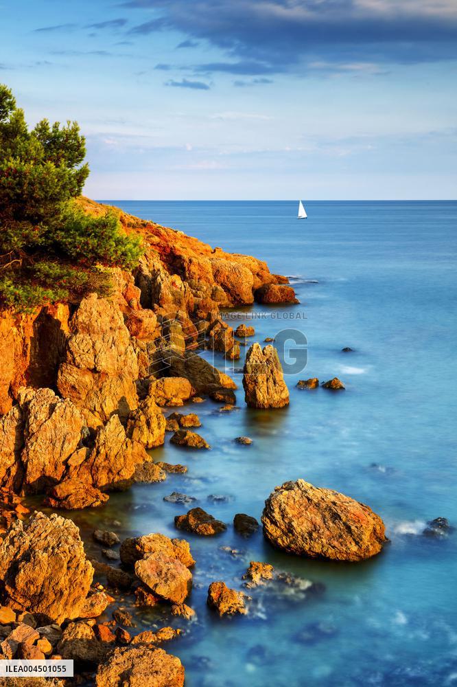 Illustration of the Town of Sete