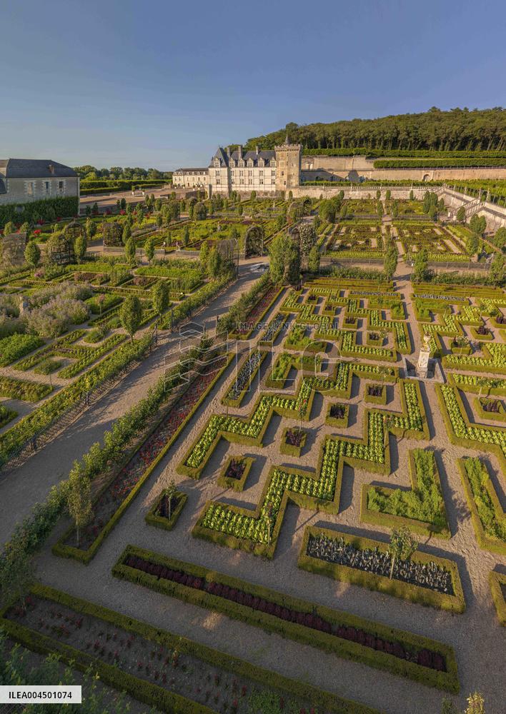 Illustration - Loire Valley