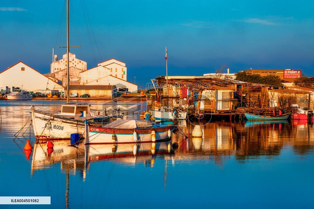 Illustration of the Town of Sete