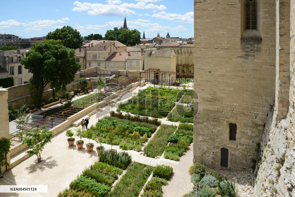 Illustration - Avignon