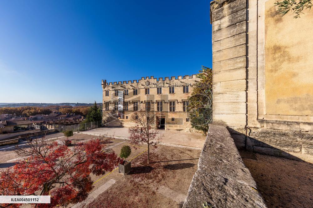 Illustration - Avignon