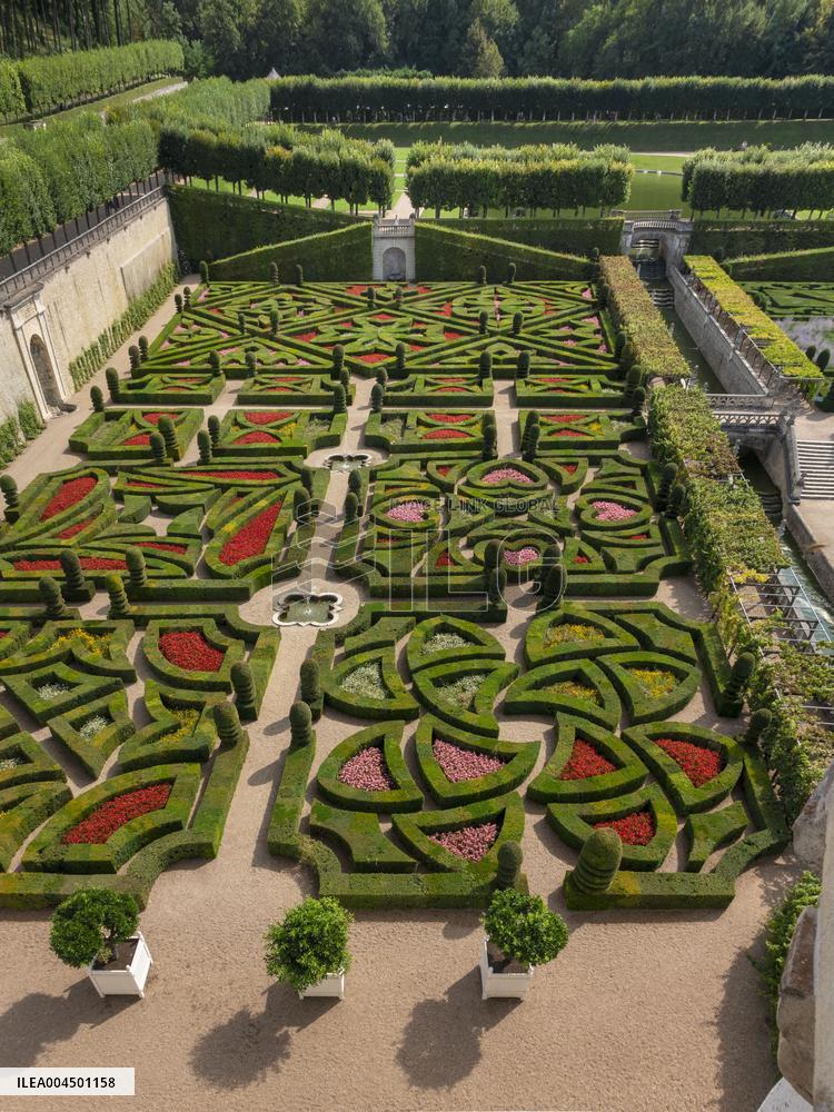 Illustration - Loire Valley