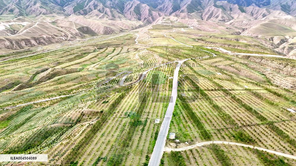 Ecological Construction in Western China