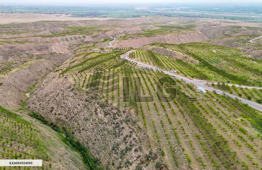 Ecological Construction in Western China