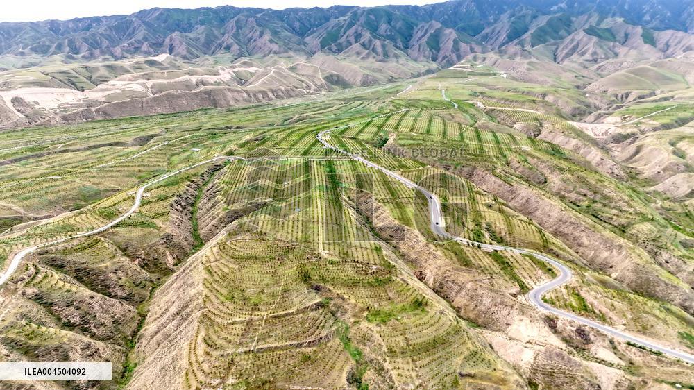 Ecological Construction in Western China