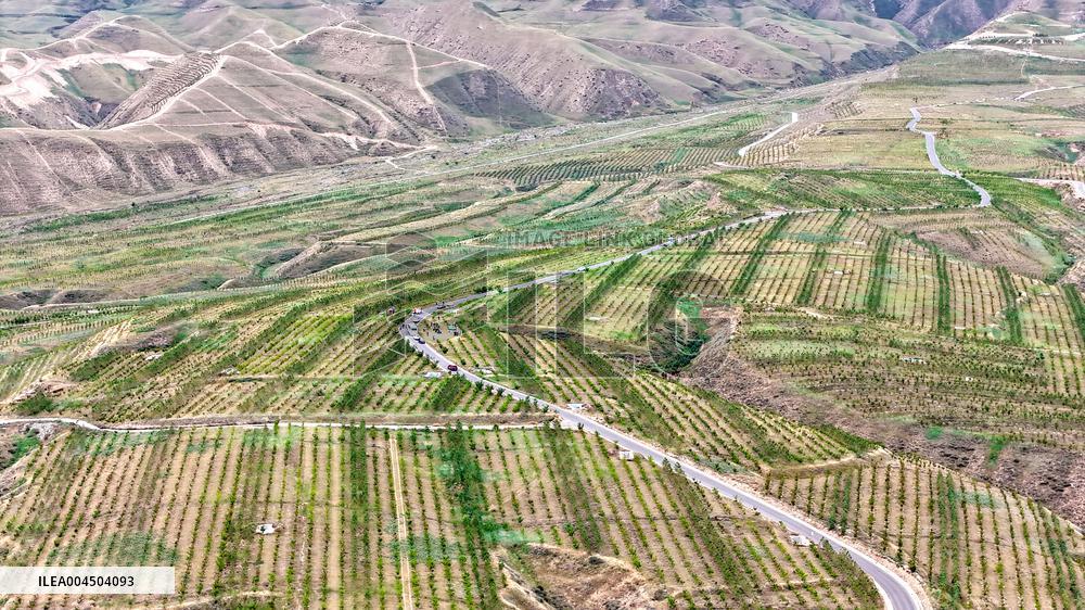 Ecological Construction in Western China