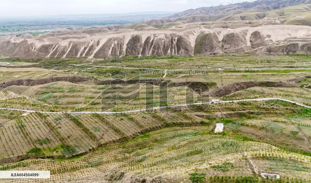 Ecological Construction in Western China