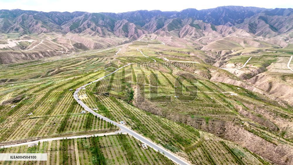 Ecological Construction in Western China