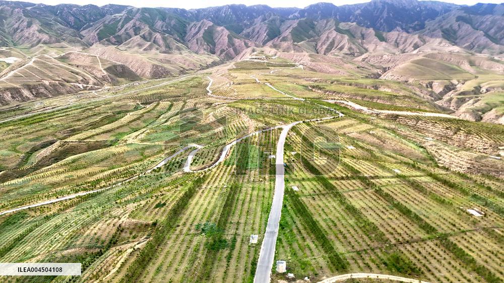 Ecological Construction in Western China