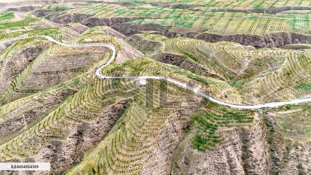 Ecological Construction in Western China