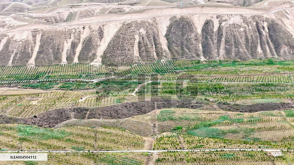 Ecological Construction in Western China