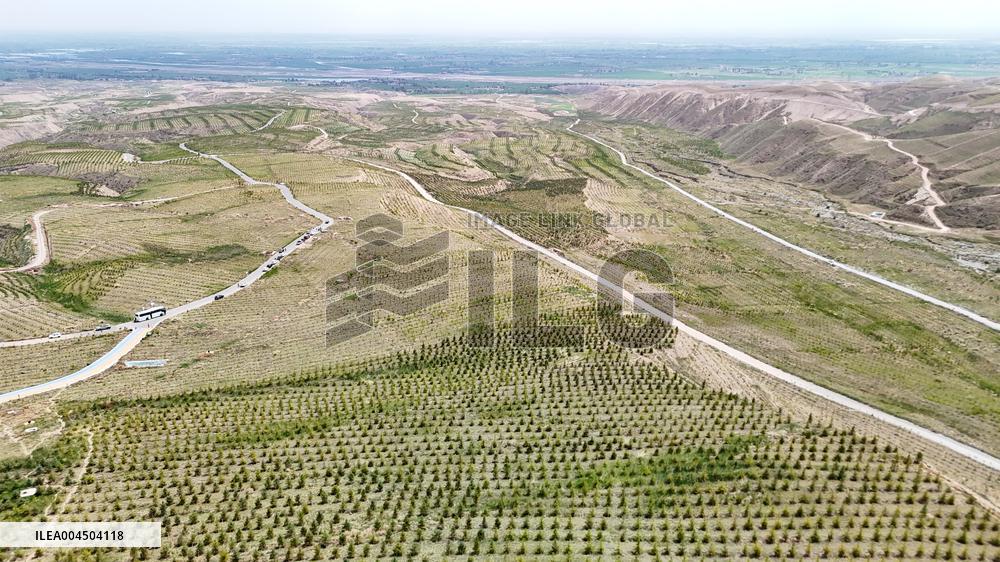 Ecological Construction in Western China