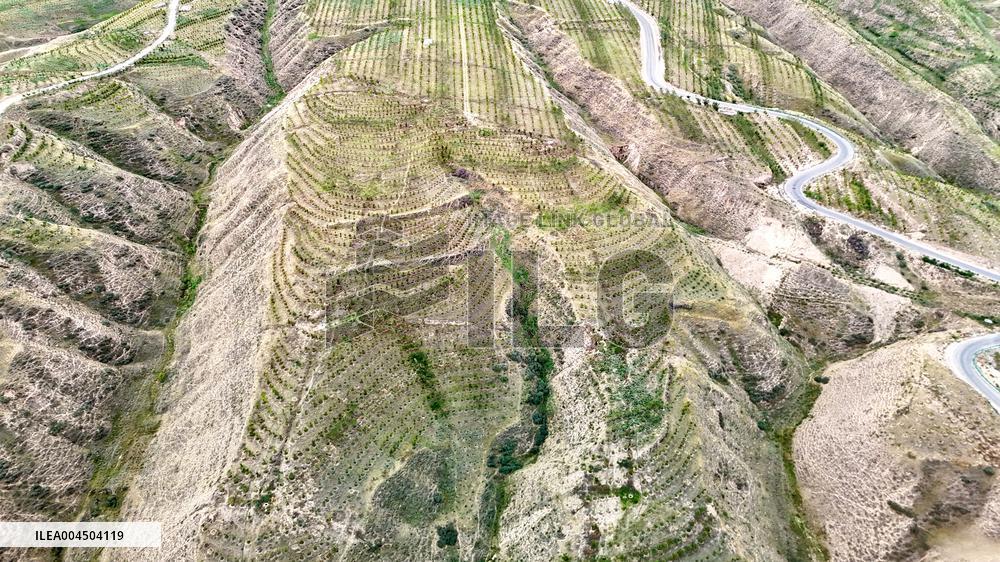 Ecological Construction in Western China