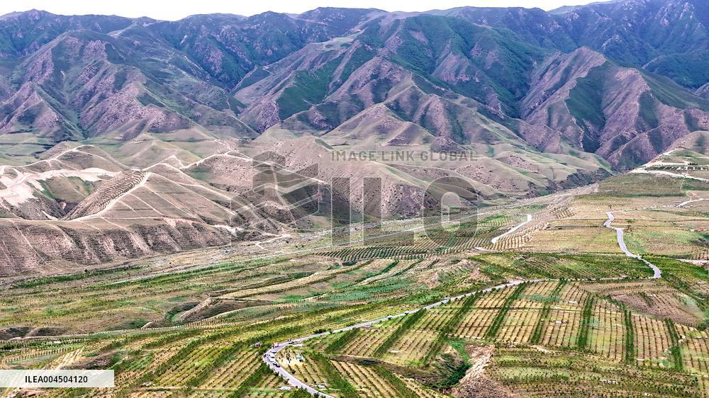 Ecological Construction in Western China