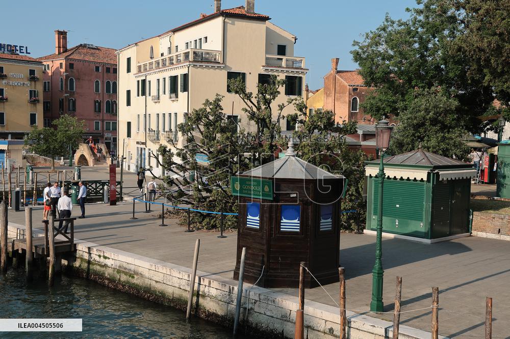 Tree Falls Injuring 12 - Venice