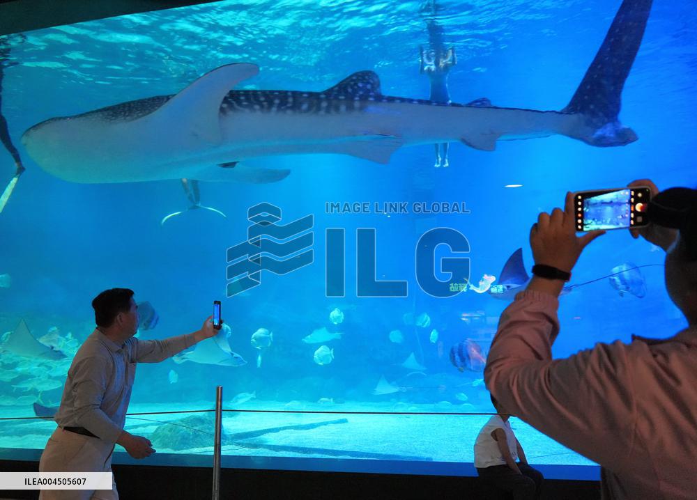 Marine Tourism Market