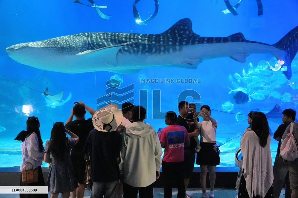 Marine Tourism Market