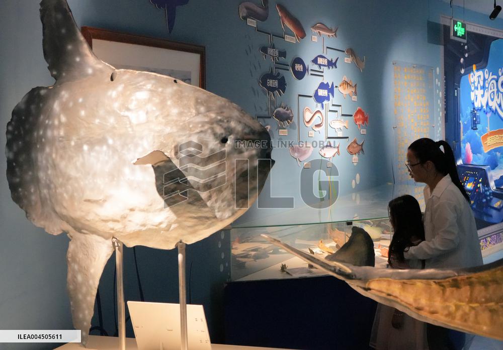 Marine Tourism Market