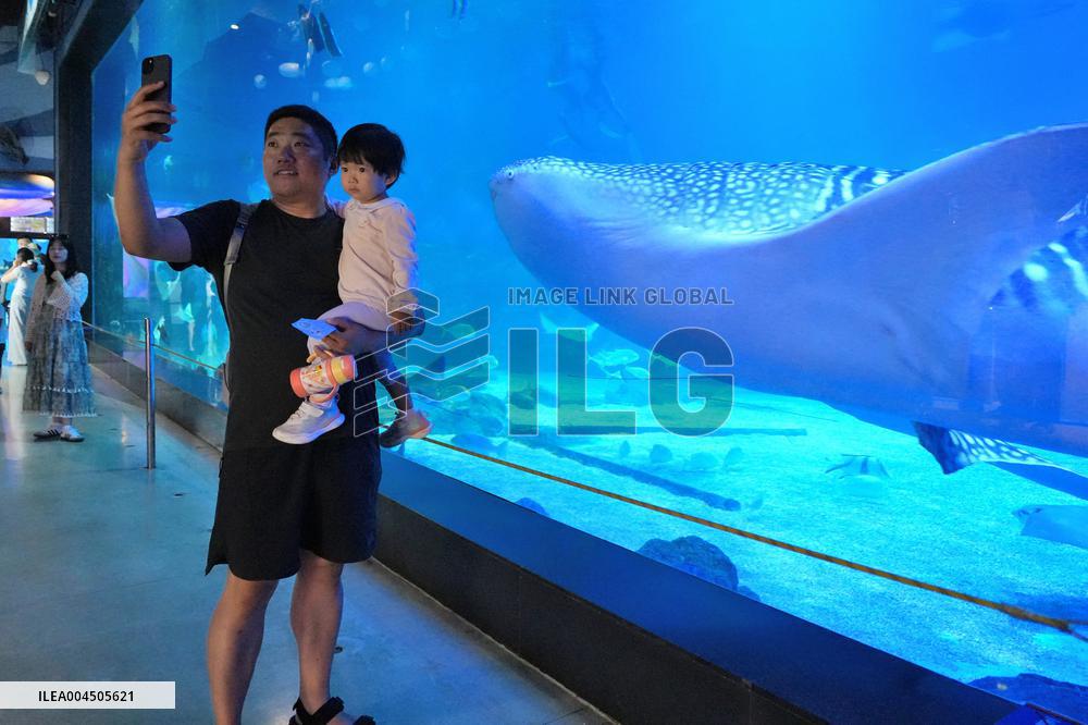 Marine Tourism Market