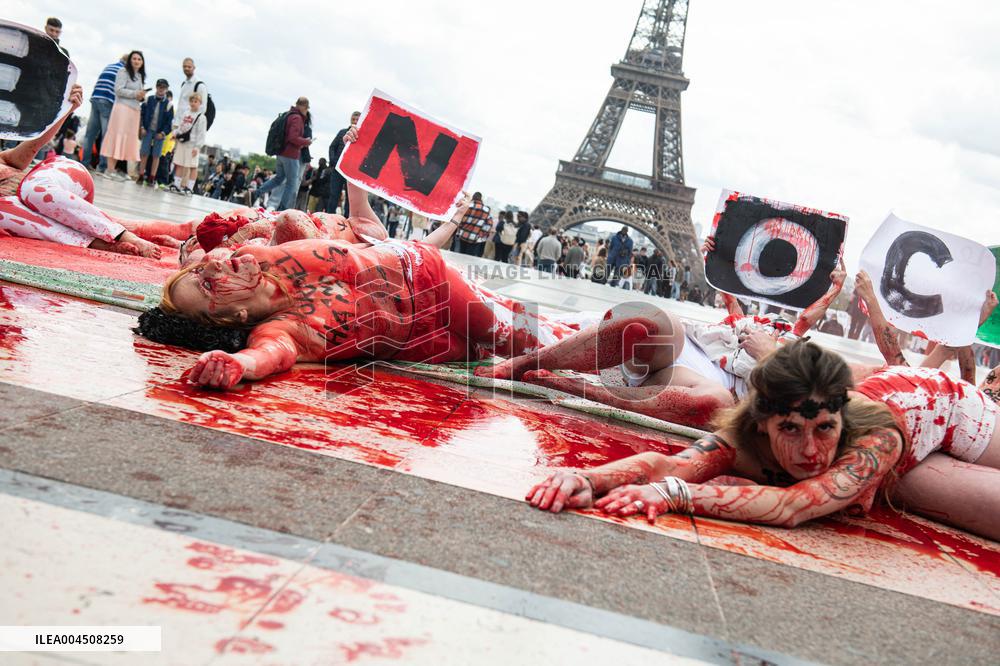 FEMEN Activists Protest Gaza Crisis at Trocadero - Paris