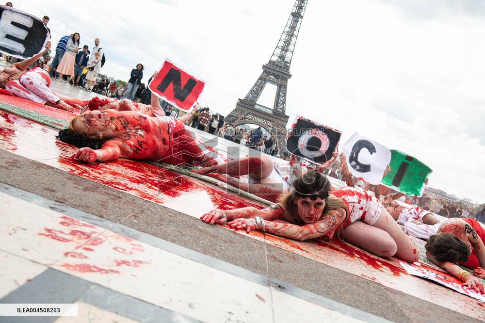 FEMEN Activists Protest Gaza Crisis at Trocadero - Paris