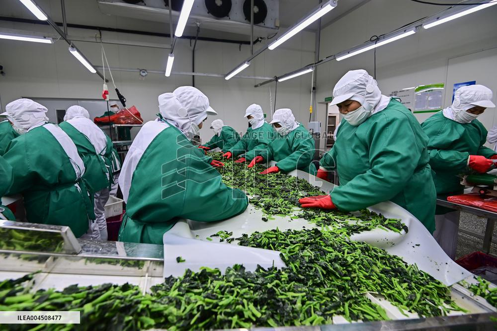China Goods Trade Import Export Growth