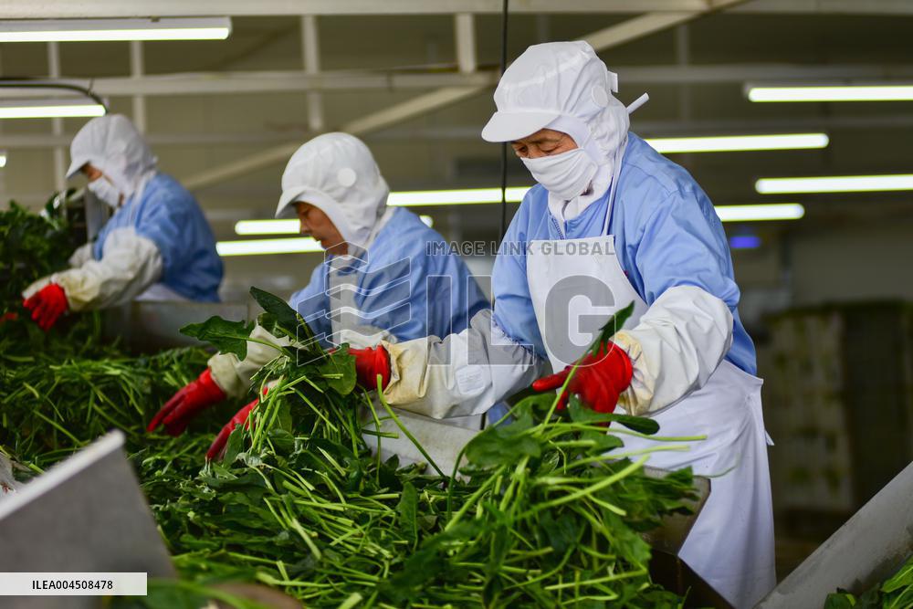 China Goods Trade Import Export Growth