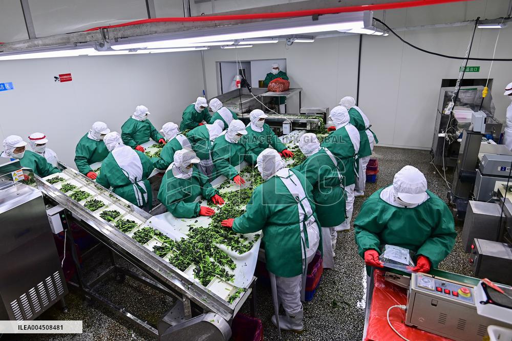 China Goods Trade Import Export Growth