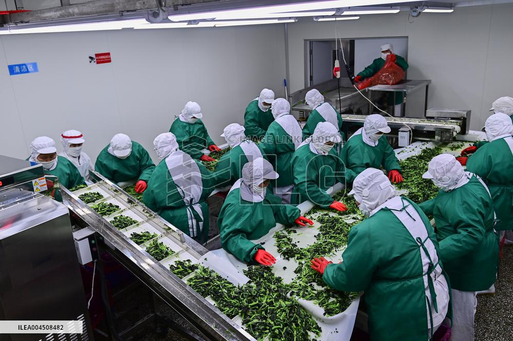 China Goods Trade Import Export Growth