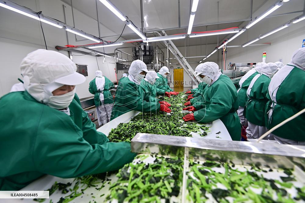 China Goods Trade Import Export Growth