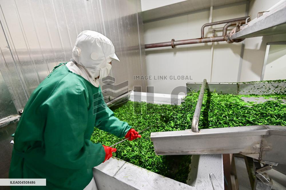 China Goods Trade Import Export Growth