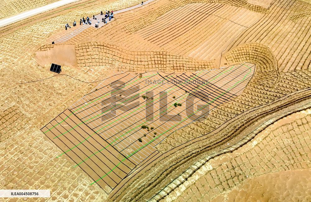Ecological Security Barrier in Northern China