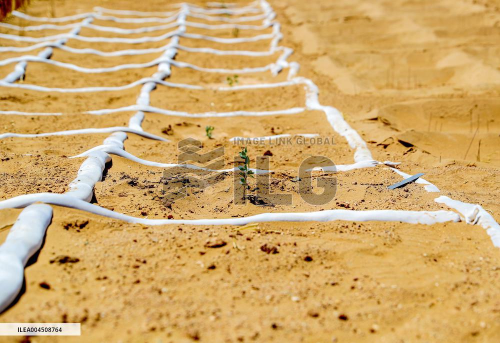 Ecological Security Barrier in Northern China
