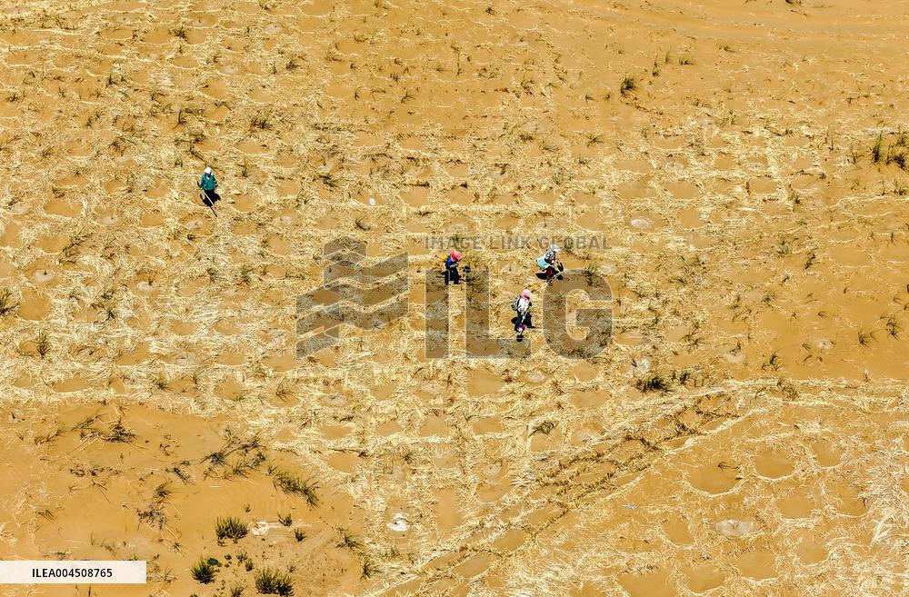 Ecological Security Barrier in Northern China