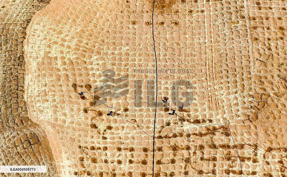 Ecological Security Barrier in Northern China