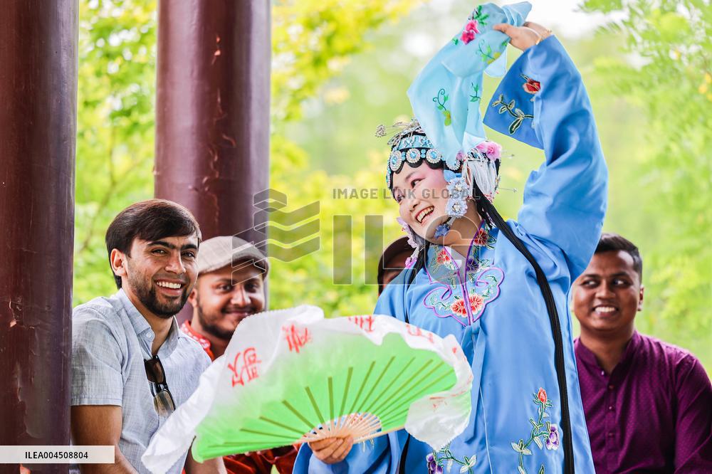 Foreign Students Participated in The Apricot Cultural Exchange Activity