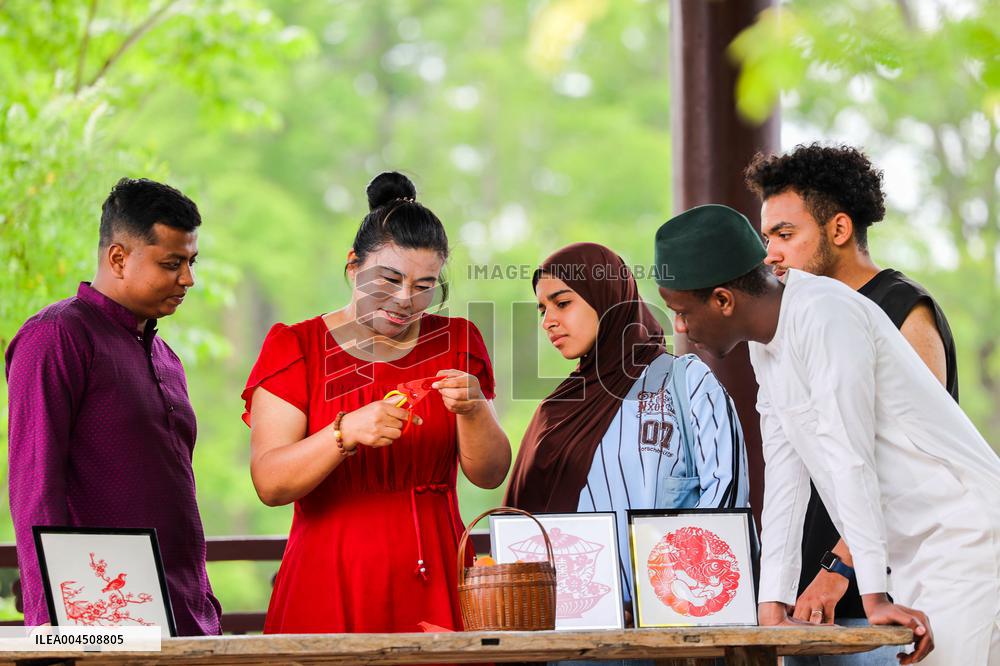 Foreign Students Participated in The Apricot Cultural Exchange Activity