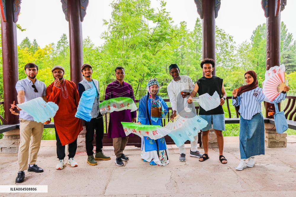 Foreign Students Participated in The Apricot Cultural Exchange Activity