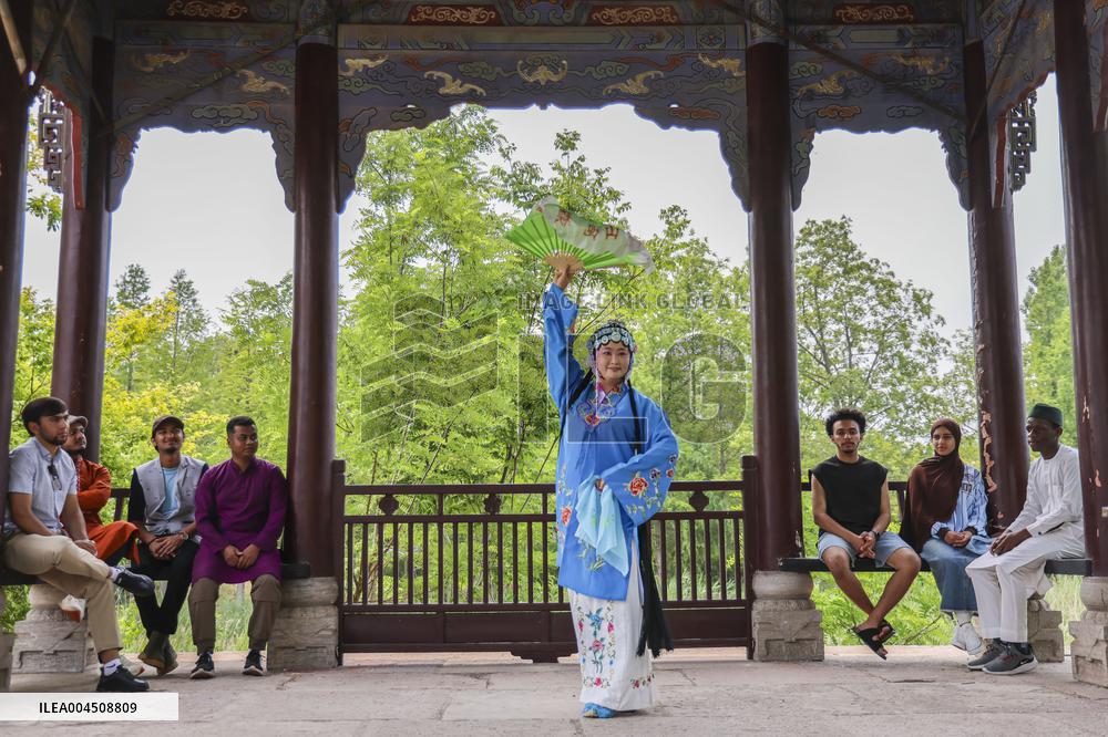 Foreign Students Participated in The Apricot Cultural Exchange Activity