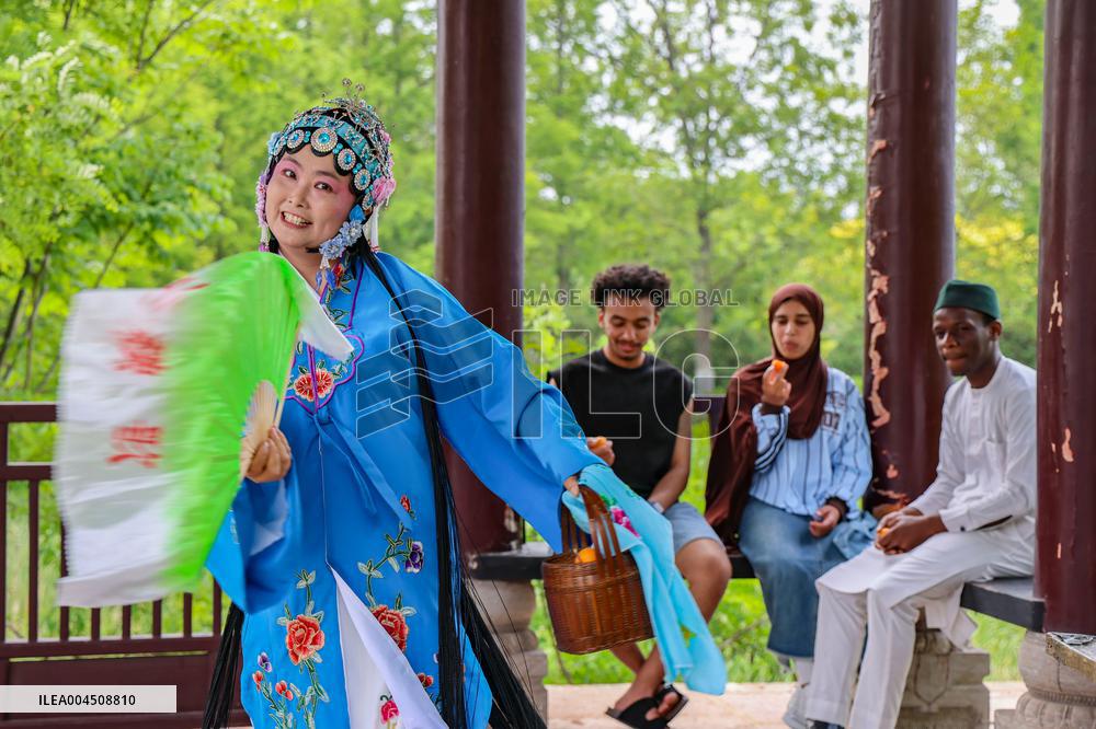 Foreign Students Participated in The Apricot Cultural Exchange Activity