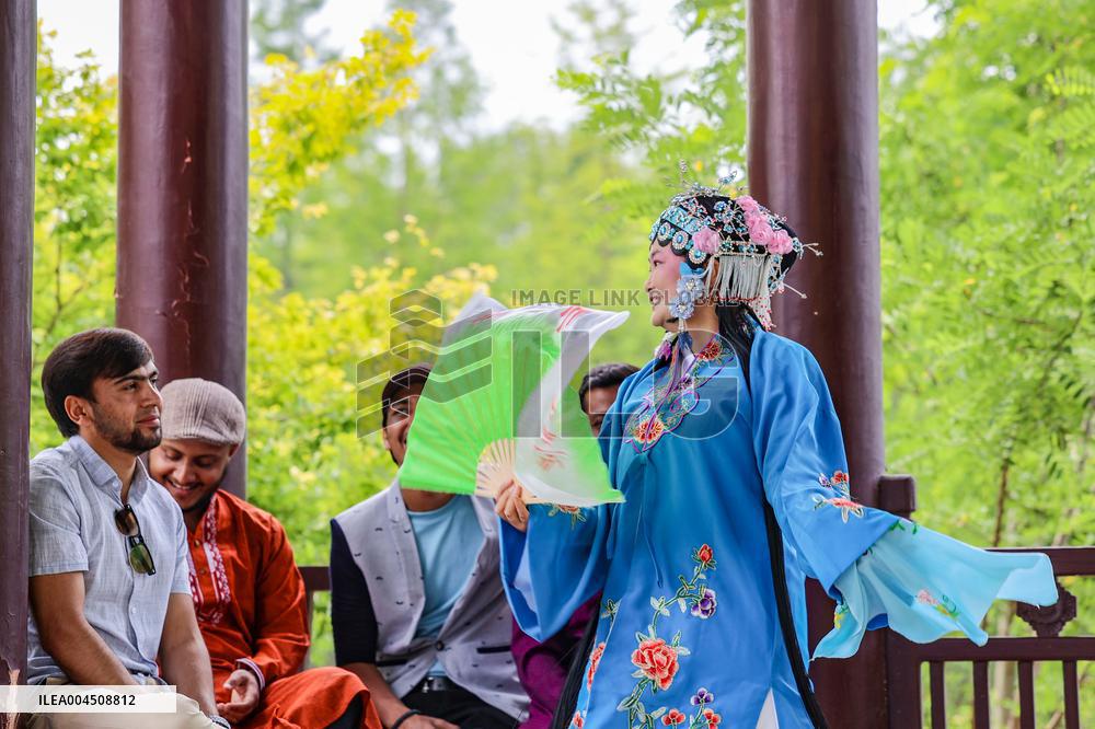 Foreign Students Participated in The Apricot Cultural Exchange Activity