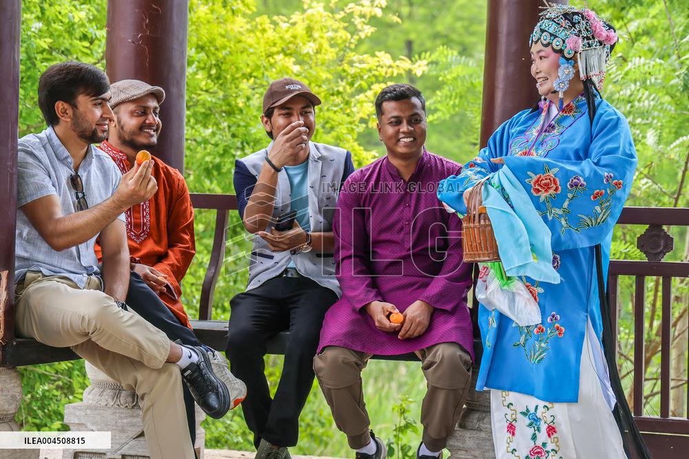 Foreign Students Participated in The Apricot Cultural Exchange Activity
